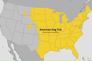 American Dog Tick Map