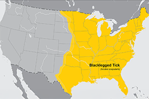 Blacklegged Tick distribution map: Dakotas south through Texas and east to the coast.