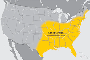 Lone Star Tick distribution map: Eastern seaboard from Maine to Florida, southeastern US to mid-Texas and Nebraska, as far north as Iowa.