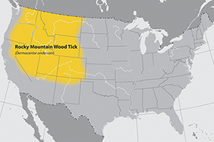 Rocky Mountain Wood Tick distribution map: Northwestern US, as far south as northern New Mexico and just short of the Western coast.